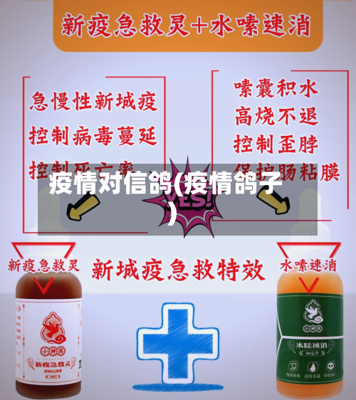 疫情对信鸽(疫情鸽子)-第2张图片