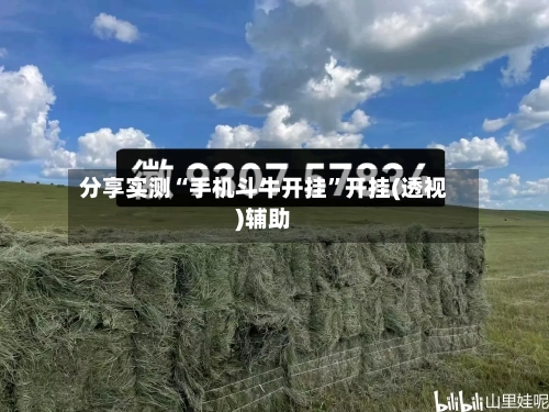 分享实测“手机斗牛开挂”开挂(透视)辅助-第2张图片