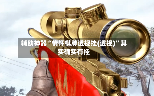 辅助神器“情怀棋牌透视挂(透视)”其实确实有挂-第2张图片