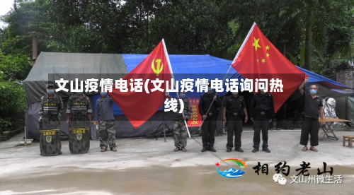 文山疫情电话(文山疫情电话询问热线)-第3张图片