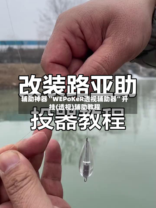 辅助神器“WEPoKeR透视辅助器”开挂(透视)辅助教程-第2张图片