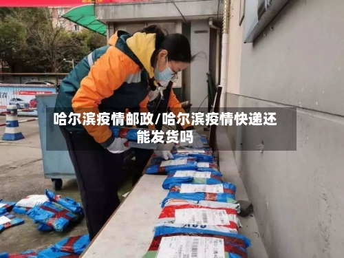 哈尔滨疫情邮政/哈尔滨疫情快递还能发货吗-第3张图片