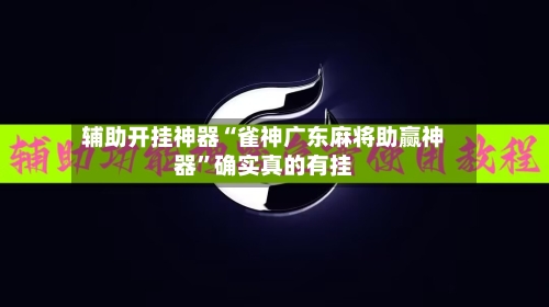 辅助开挂神器“雀神广东麻将助赢神器”确实真的有挂-第1张图片