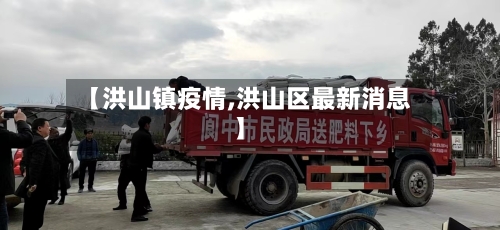 【洪山镇疫情,洪山区最新消息】-第2张图片