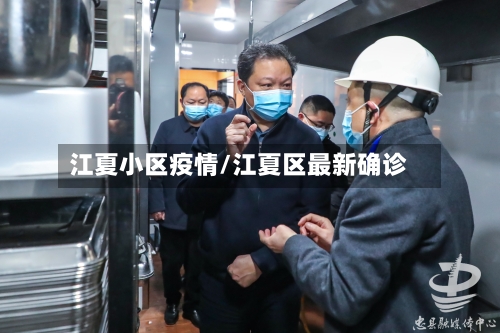 江夏小区疫情/江夏区最新确诊-第1张图片