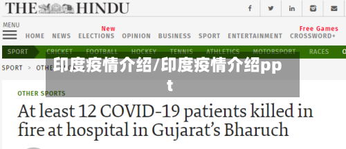 印度疫情介绍/印度疫情介绍ppt-第2张图片