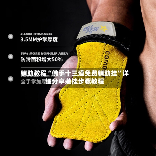 辅助教程“佛手十三道免费辅助挂	”详细分享装挂步骤教程-第1张图片