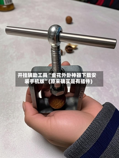 开挂辅助工具“金花外卦神器下载安装手机版”(原来确实是有插件)-第1张图片