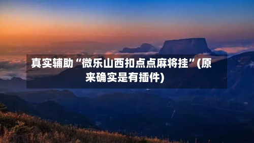 真实辅助“微乐山西扣点点麻将挂”(原来确实是有插件)-第3张图片