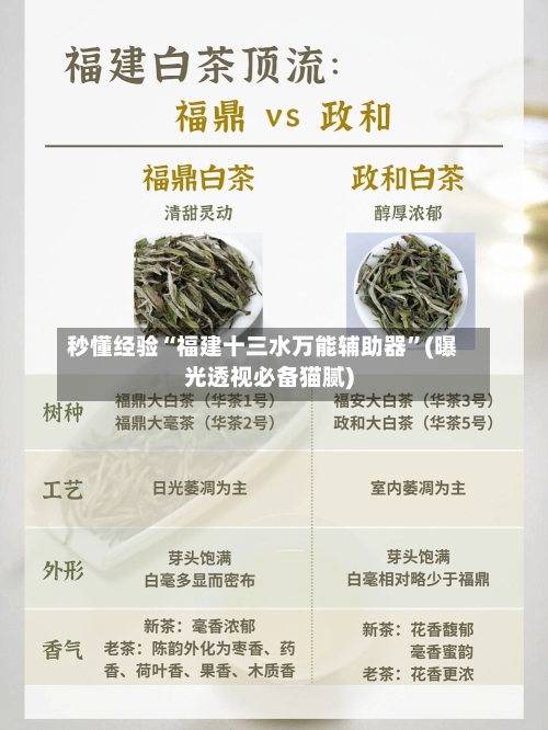 秒懂经验“福建十三水万能辅助器”(曝光透视必备猫腻)-第2张图片