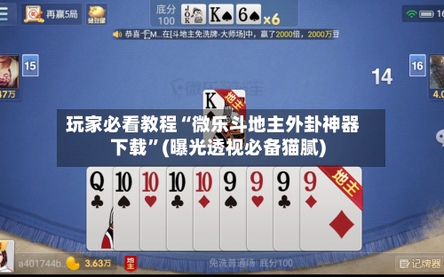 玩家必看教程“微乐斗地主外卦神器下载	”(曝光透视必备猫腻)-第2张图片