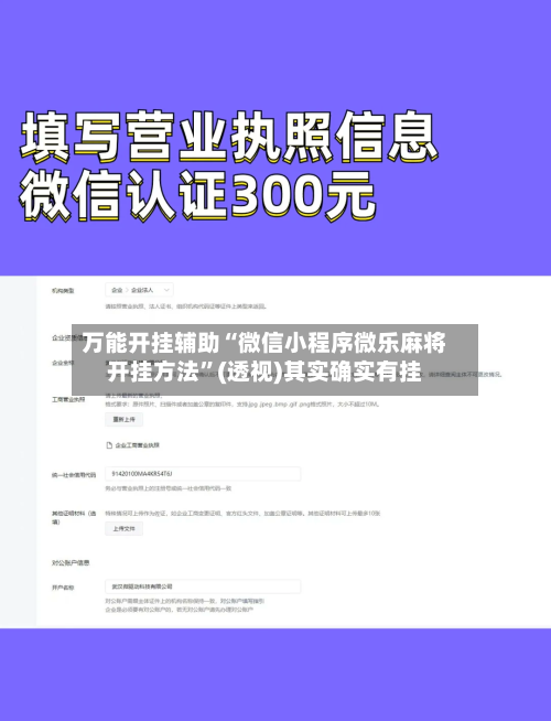 万能开挂辅助“微信小程序微乐麻将开挂方法”(透视)其实确实有挂-第2张图片