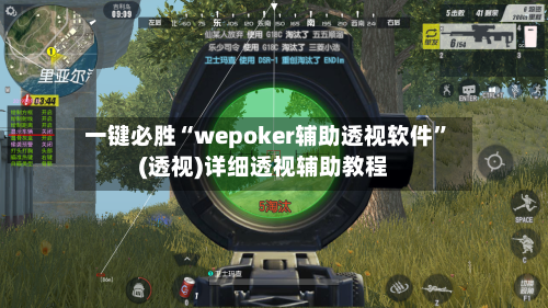 一键必胜“wepoker辅助透视软件”(透视)详细透视辅助教程-第3张图片