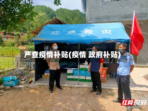 严查疫情补贴(疫情 政府补贴)-第1张图片