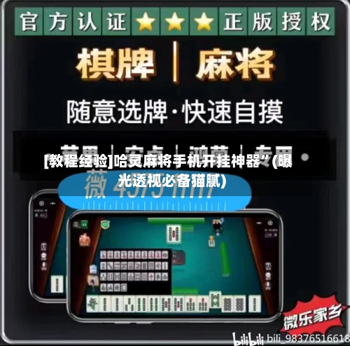 [教程经验]哈灵麻将手机开挂神器”(曝光透视必备猫腻)-第3张图片