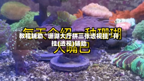 教程辅助“珊瑚大厅拼三张透视挂	”开挂(透视)辅助-第1张图片