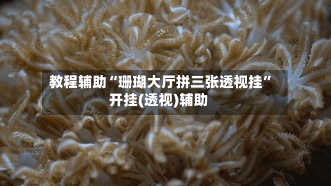 教程辅助“珊瑚大厅拼三张透视挂”开挂(透视)辅助-第2张图片