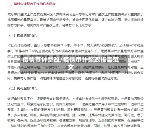 疫情审计整改/疫情审计整改报告范文-第3张图片