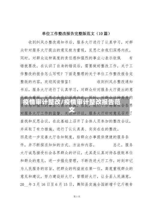 疫情审计整改/疫情审计整改报告范文-第2张图片