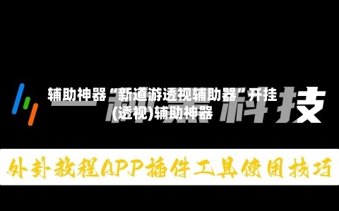 辅助神器“新道游透视辅助器	”开挂(透视)辅助神器-第2张图片