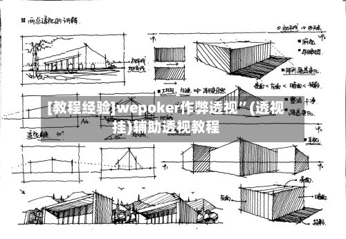 [教程经验]wepoker作弊透视”(透视挂)辅助透视教程-第2张图片
