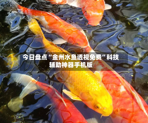 今日盘点“金州水鱼透视免费”科技辅助神器手机版-第1张图片
