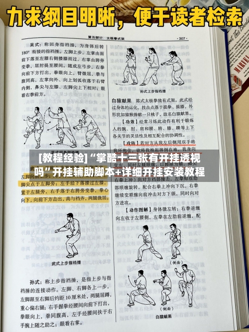 [教程经验]“掌酷十三张有开挂透视吗”开挂辅助脚本+详细开挂安装教程-第3张图片