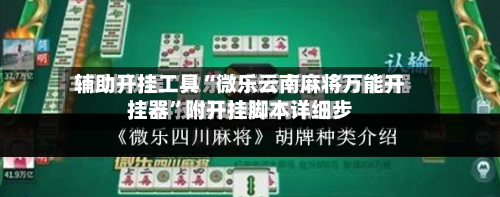 辅助开挂工具“微乐云南麻将万能开挂器	”附开挂脚本详细步-第2张图片