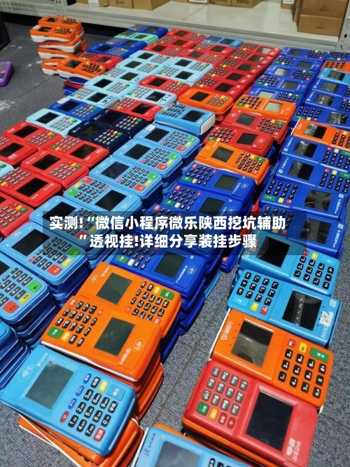 实测!“微信小程序微乐陕西挖坑辅助”透视挂!详细分享装挂步骤-第2张图片