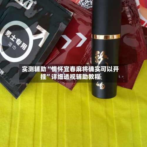 实测辅助“情怀宜春麻将确实可以开挂”详细透视辅助教程-第3张图片