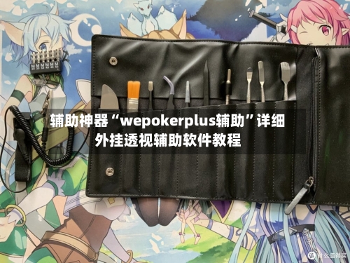 辅助神器“wepokerplus辅助”详细外挂透视辅助软件教程-第1张图片