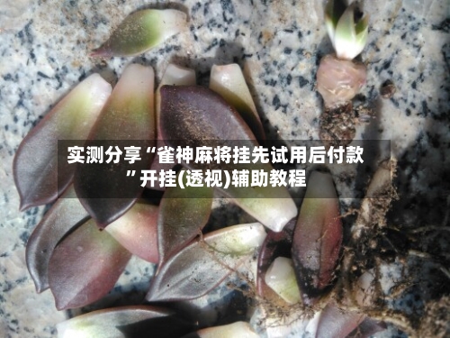 实测分享“雀神麻将挂先试用后付款”开挂(透视)辅助教程-第1张图片