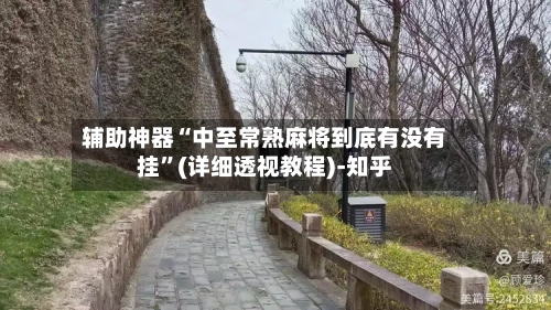 辅助神器“中至常熟麻将到底有没有挂”(详细透视教程)-知乎-第3张图片