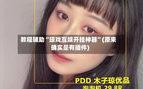 教程辅助“琼戏互娱开挂神器”(原来确实是有插件)-第3张图片