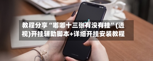 教程分享“嘟嘟十三张有没有挂”(透视)开挂辅助脚本+详细开挂安装教程-第2张图片