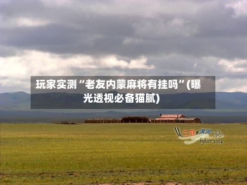 玩家实测“老友内蒙麻将有挂吗	”(曝光透视必备猫腻)-第1张图片