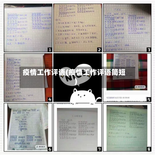 疫情工作评语(疫情工作评语简短)-第2张图片