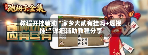 教程开挂辅助“家乡大贰有挂吗+透视挂!”详细辅助教程分享-第2张图片