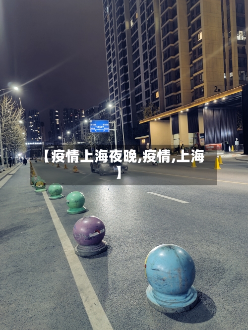 【疫情上海夜晚,疫情,上海】-第3张图片