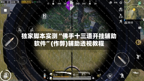 独家脚本实测“佛手十三道开挂辅助软件”(作弊)辅助透视教程-第3张图片