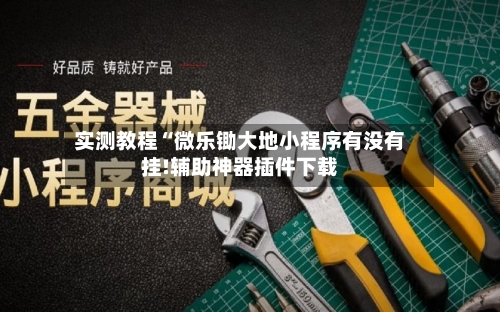 实测教程“微乐锄大地小程序有没有挂!辅助神器插件下载-第2张图片