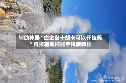 辅助神器“白金岛十胡卡可以开挂吗”科技辅助神器手机版教程-第2张图片