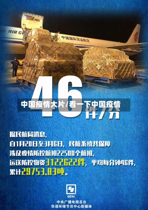 中国疫情大片/看一下中国疫情-第2张图片