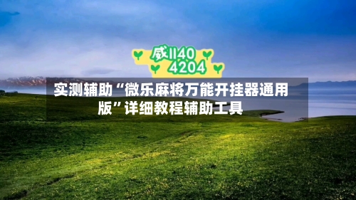 实测辅助“微乐麻将万能开挂器通用版”详细教程辅助工具-第3张图片