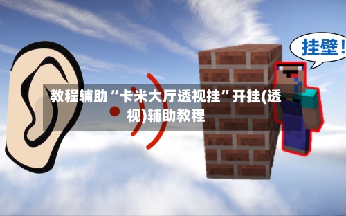 教程辅助“卡米大厅透视挂	”开挂(透视)辅助教程-第3张图片