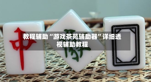 教程辅助“游戏茶苑辅助器”详细透视辅助教程-第3张图片