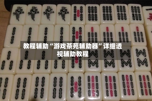 教程辅助“游戏茶苑辅助器”详细透视辅助教程-第2张图片