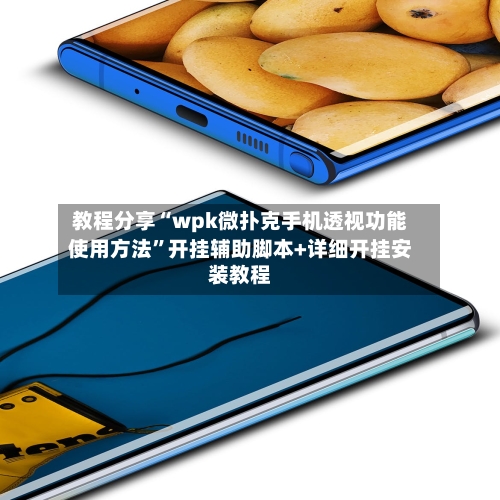 教程分享“wpk微扑克手机透视功能使用方法”开挂辅助脚本+详细开挂安装教程-第3张图片