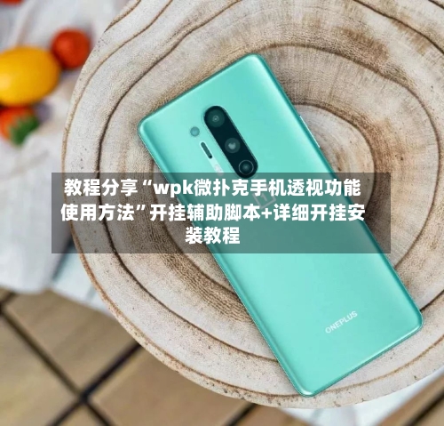 教程分享“wpk微扑克手机透视功能使用方法	”开挂辅助脚本+详细开挂安装教程-第2张图片