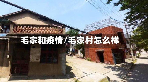 毛家和疫情/毛家村怎么样-第2张图片